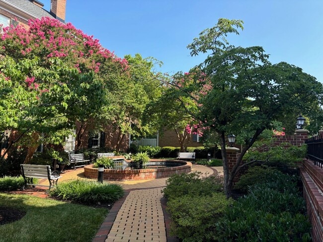 Building Photo - 1037 N Pitt St