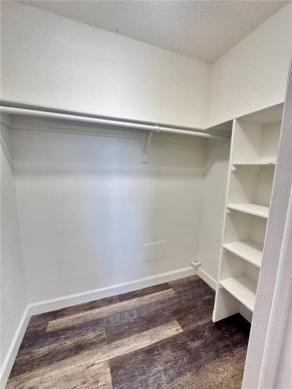 Building Photo - 7512 Bolanos Ct
