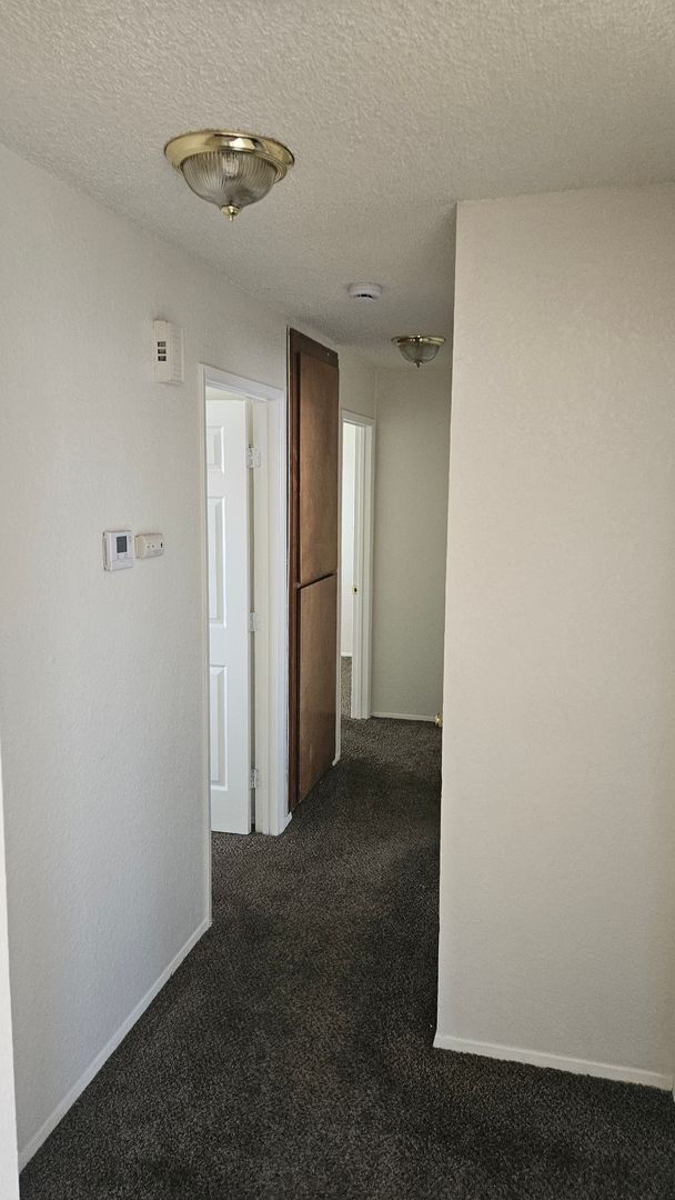 Building Photo - Spacious 3 bedroom with large backyard