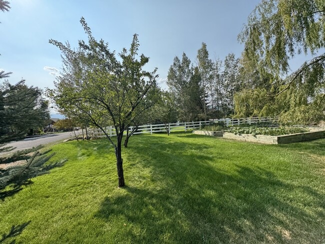 Building Photo - 3171 Horse Thief Dr