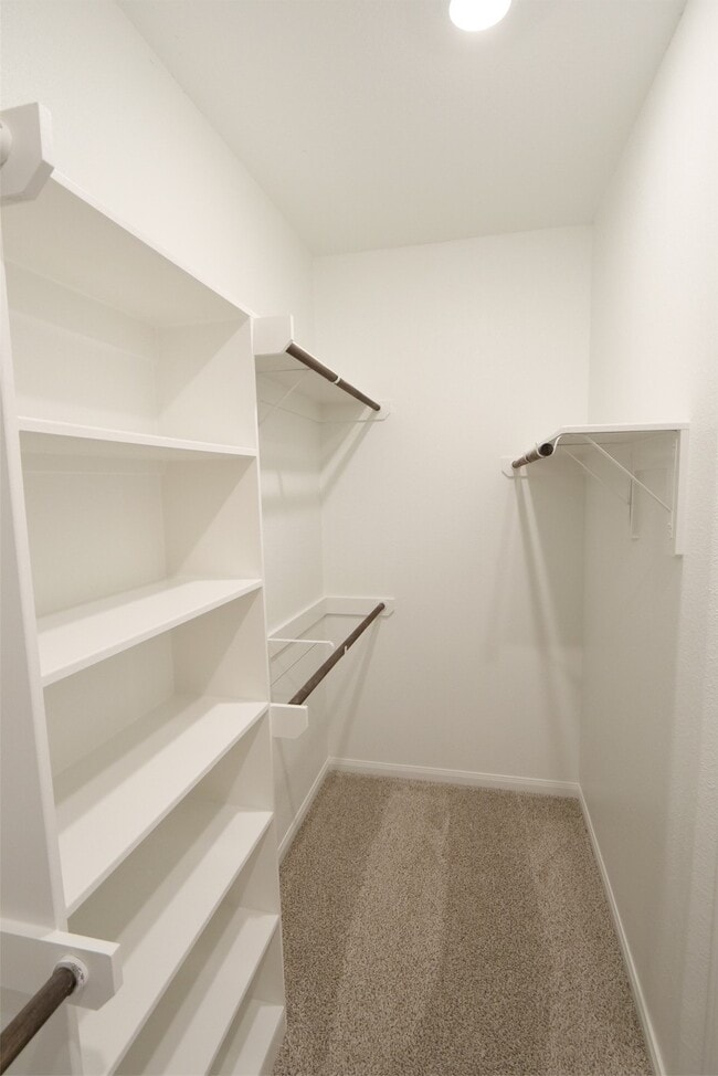 Building Photo - 10031 Cloud Mist Dr