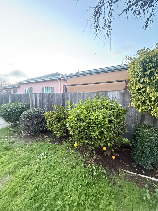 Building Photo - 330 Cuardo Ave