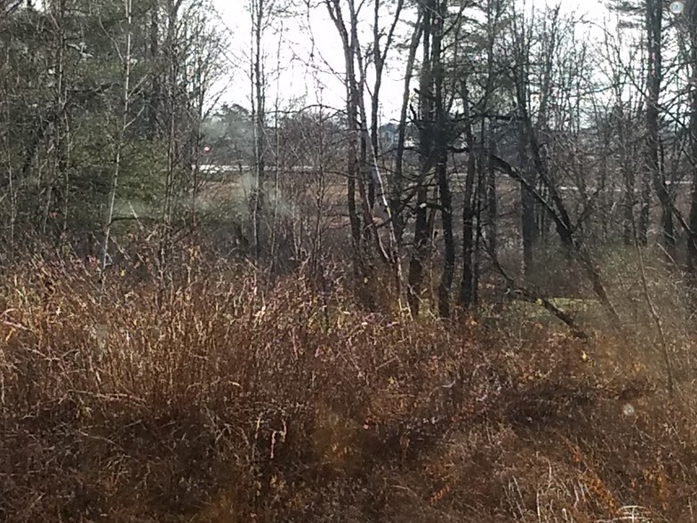 View of Marsh - 38 Snow Rd