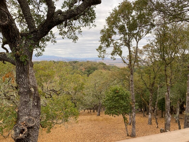 Building Photo - 2512 Laguna Vista Dr