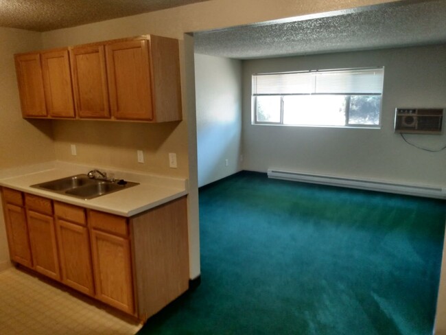 Primary Photo - 1 bedroom 1 bathroom bottom floor downstai...