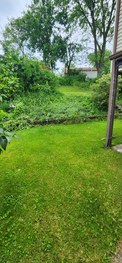 Building Photo - Luxury 3-Bedroom, 1-Bathroom House in Broo...