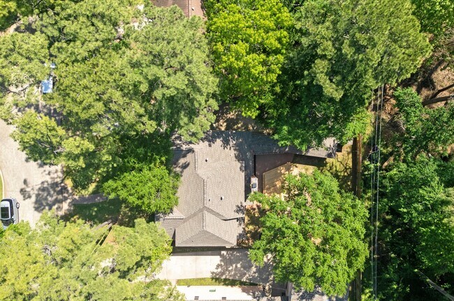 Building Photo - 12119 Auburn Hills Dr