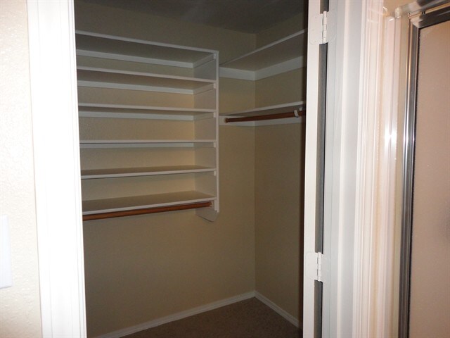 Building Photo - 3237 Hunter Meadows Cir NE