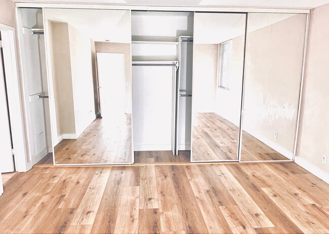 Bedroom Closet - 100 S Doheny Dr