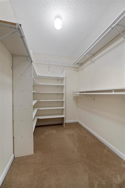 Building Photo - 220 Magnolia Leaf Dr