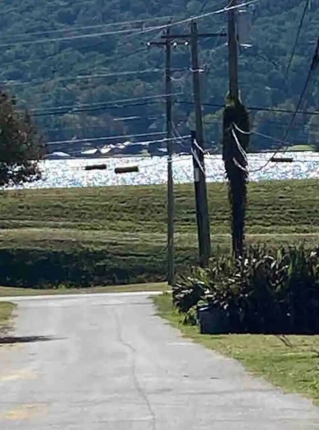Lakeside view - 2404 Elm St
