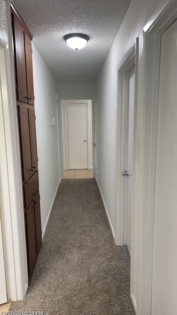 Building Photo - 905 Rose St