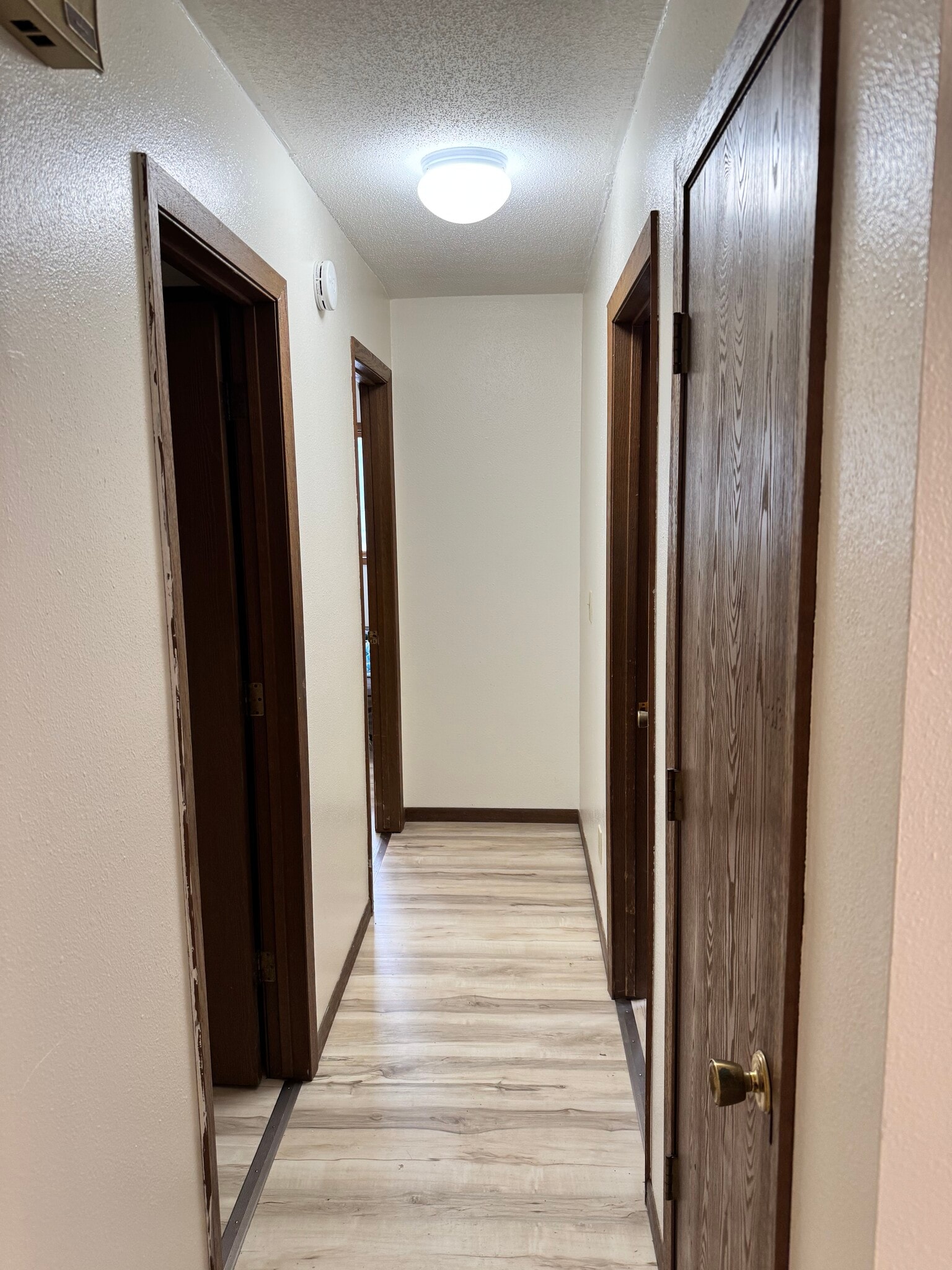 Building Photo - 906 Shady Ln