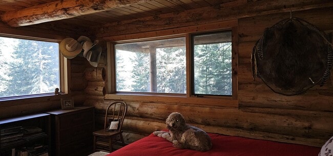 Building Photo - 6550 Lodgepole Trail