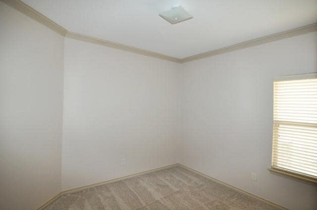 Building Photo - 4608 Sleepy Meadows Dr