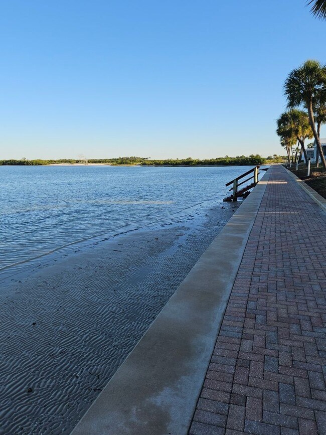 Building Photo - Newly Renovated South Tampa One Bedroom, O...