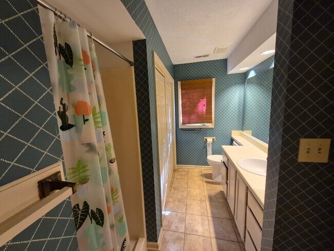 downstairs bathroom - 4422 Beechnut Ln