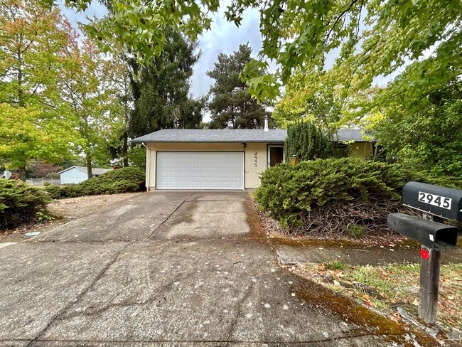 Primary Photo - Bright and Open 3 Bed, 1 Bath House!