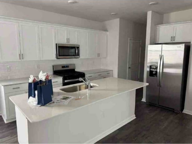 Building Photo - 553 Lemon Daisy Ln