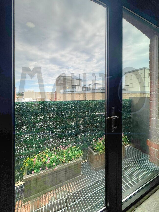 Building Photo - Stunning & Spacious Downtown Condo