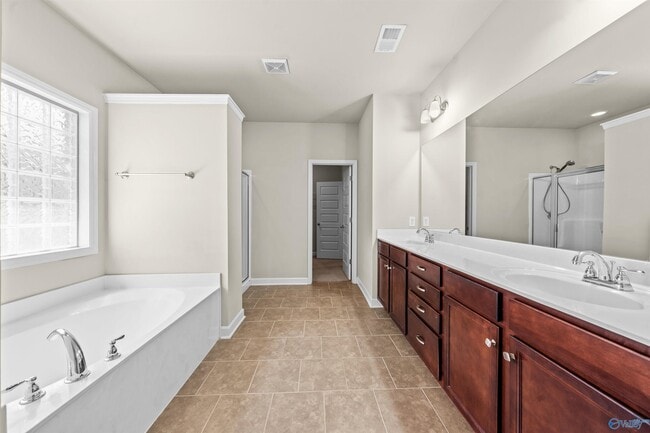 Building Photo - 3013 Mallard Point Dr SE