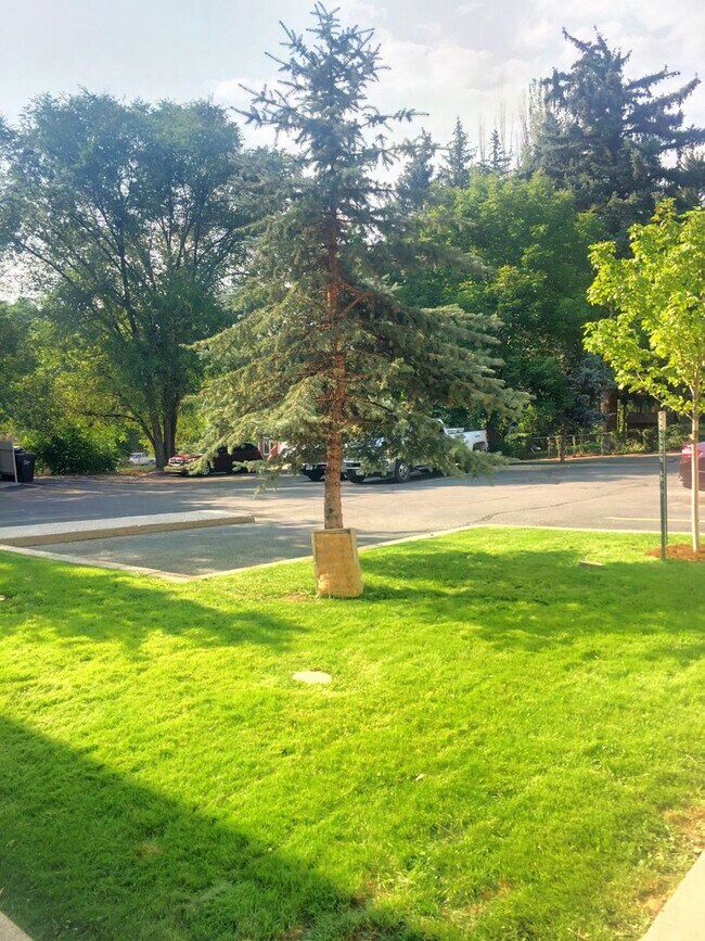 Building Photo - Downtown Glenwood Springs Condo