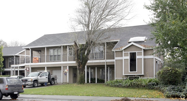Building Photo - Stella Complex Apartments