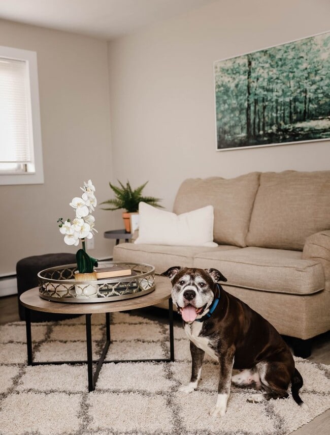 Building Photo - Highland Park Apartments | Standard 2 Bedroom