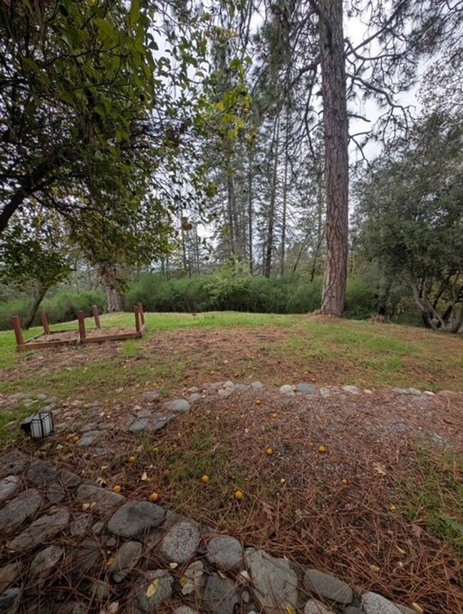 Building Photo - Single story country home with breathtaking views!