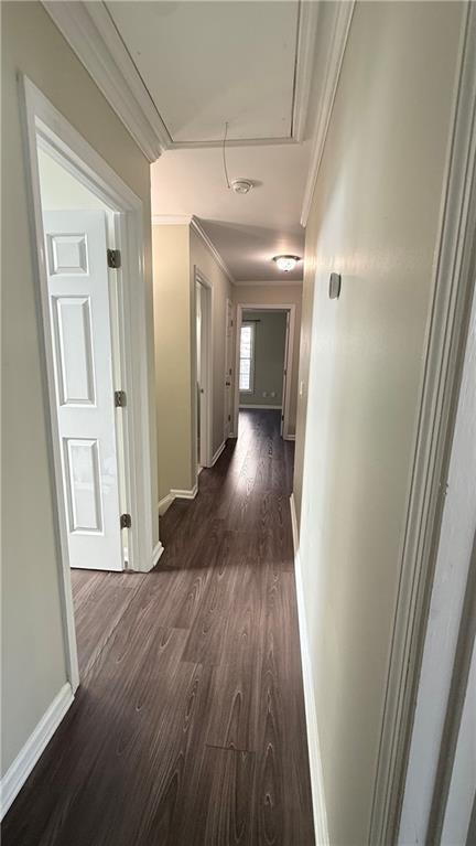 Building Photo - 11395 Brookhollow Trail