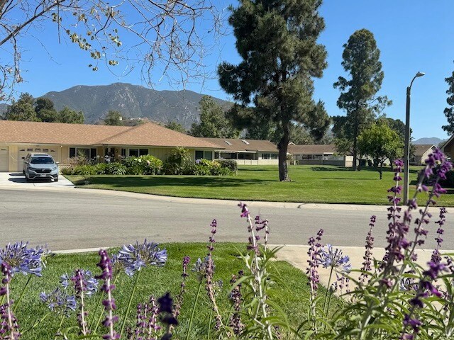 Building Photo - 6134 Village 6