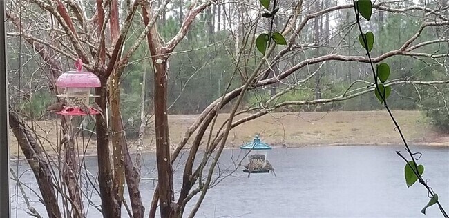 Building Photo - 237 N Hidden Tree Dr