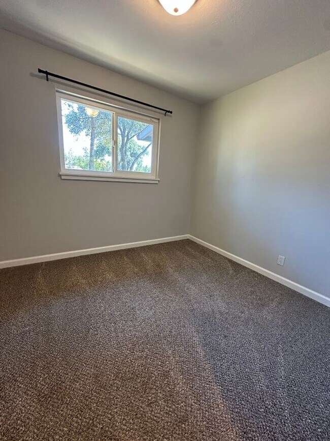 Building Photo - Beautifully upgraded interior, one dog considered.