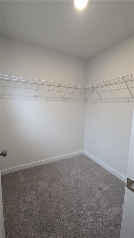 Building Photo - 1732 Harper Lily Ln