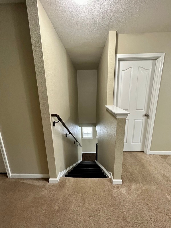 Building Photo - 3987 Tallowtree Ln