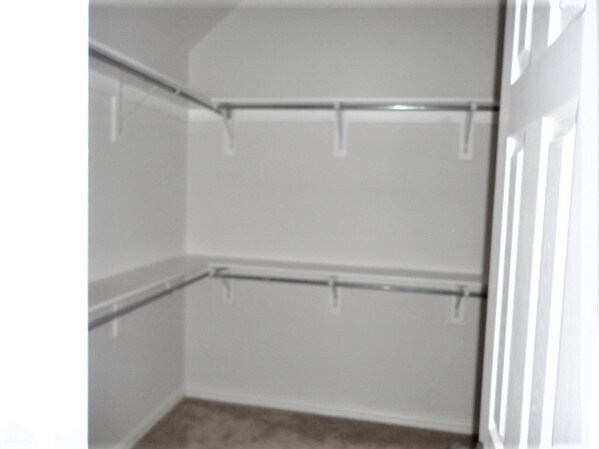 Building Photo - 2696 Deer Hollow Dr