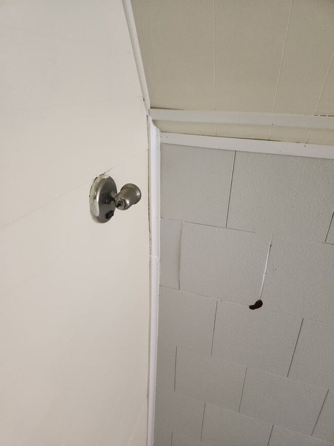 Building Photo - 413-415 N. 6th Avenue