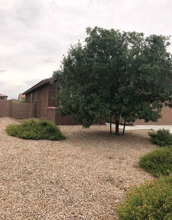 Building Photo - 10450 S Cutting Horse Dr