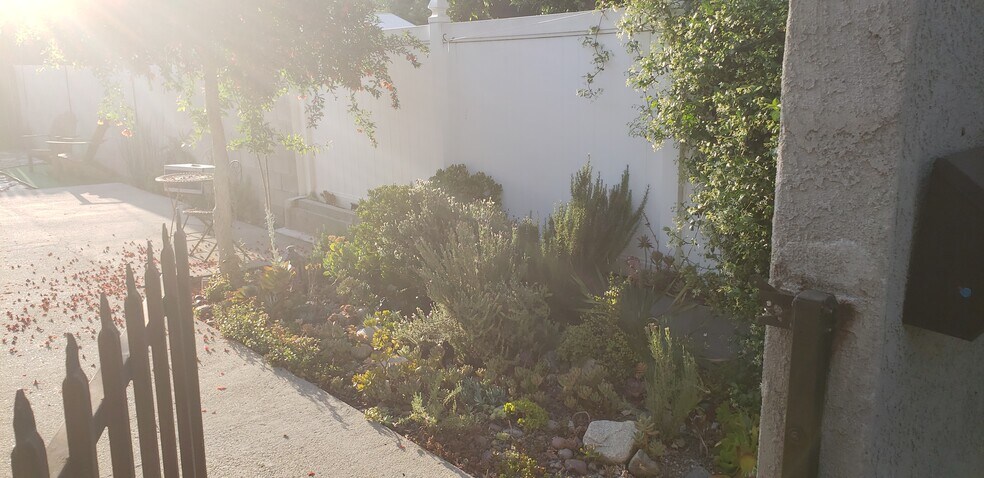 Front Yard - 8131 Lloyd Ave