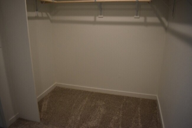 Building Photo - 4636 Sami Jo Dr