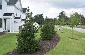 Building Photo - 2219 Perrins Ln