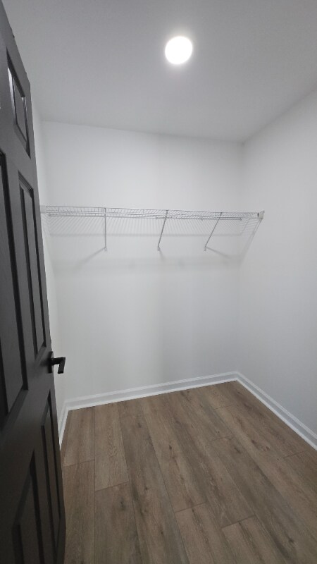Building Photo - 804 Martin St
