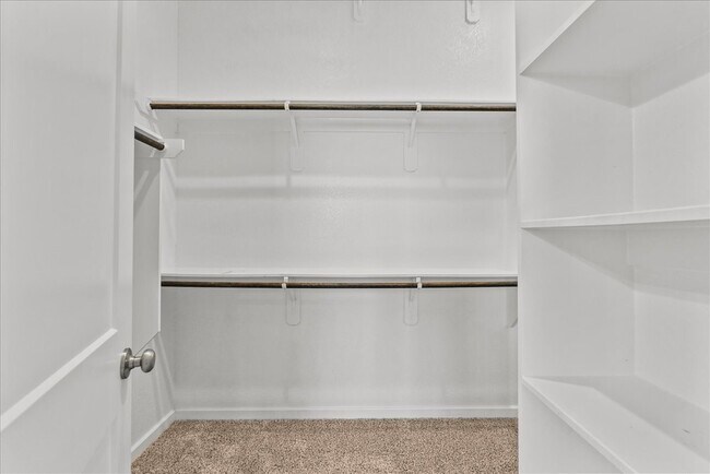 Building Photo - 13026 Oleander Bay Ln