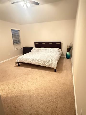 Building Photo - 408 Palamedes St