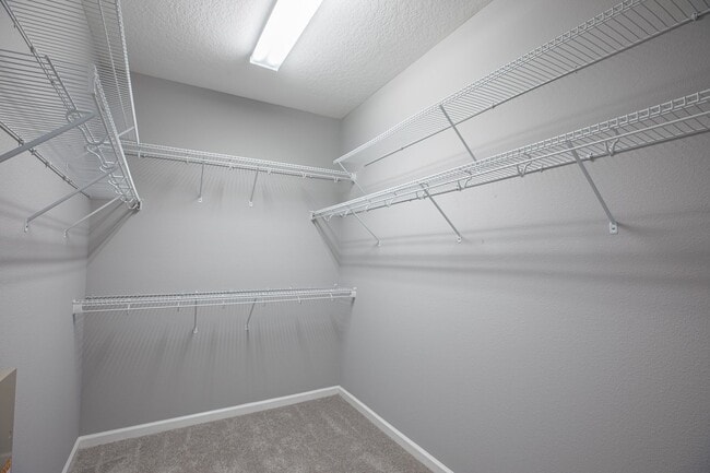 Building Photo - Beautiful Home in Wynnfield Lakes