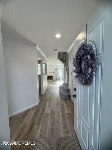 Building Photo - 16 Gerard Pl