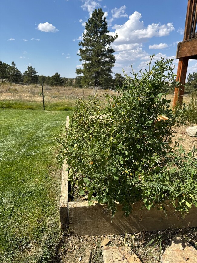 Building Photo - 4190 Blackpool Trail