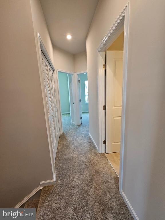 Building Photo - 4523 Briarhaven Dr
