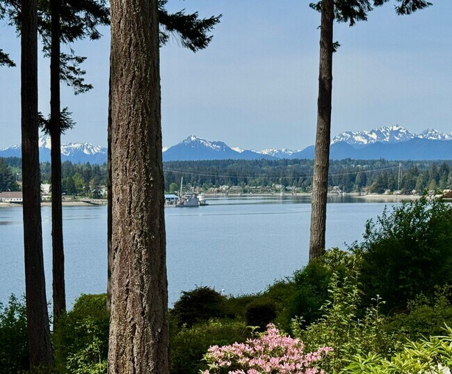 Building Photo - Stunning completely remodeled waterfront P...