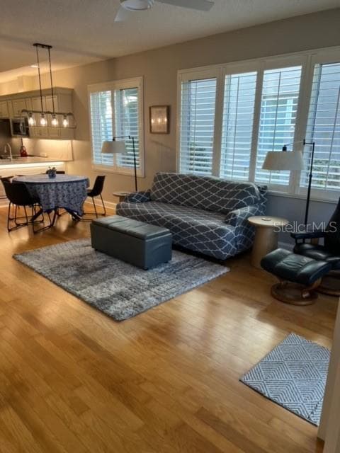 Building Photo - 8529 54th Ave Cir E